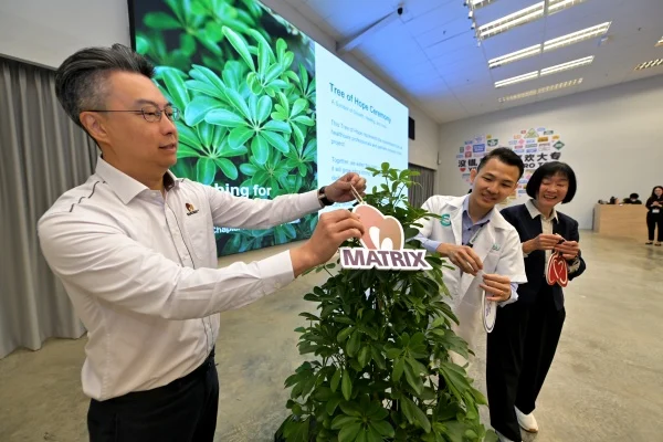 金群利集团董事